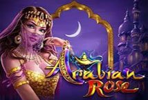 Arabian Rose Ainsworth Slot Review